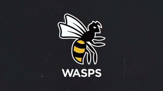 新的Wasps橄榄球Logo得到了球迷们的尖刻回应
